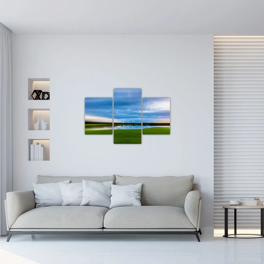 Tablou cu lunca (90x60 cm)