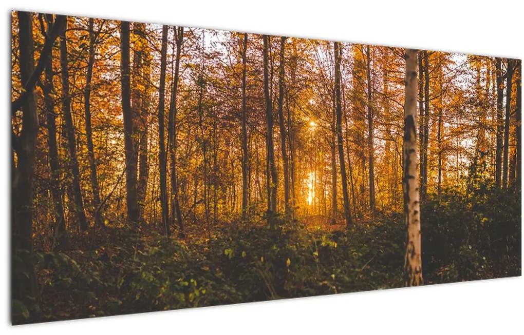 Tablou - Pădurea toamna (120x50 cm)