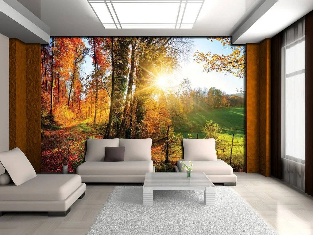 Fototapet - Pădure în toamnă (152,5x104 cm)