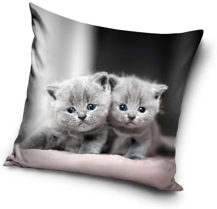 Pisică Twins husă decorativă pentru pernă 40x40 cm Catifea