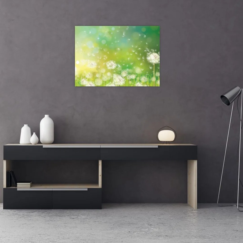 Tablou pe sticlă - Păpădie înflorită (70x50 cm)