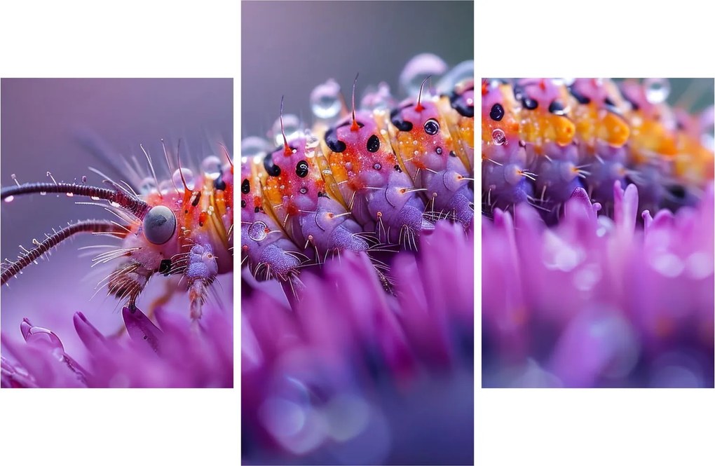 Tablou - Caterpillar (90x60 cm)