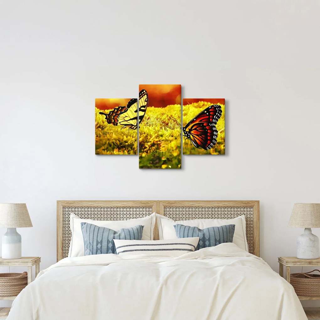 Tablou cu fluturi (90x60 cm)