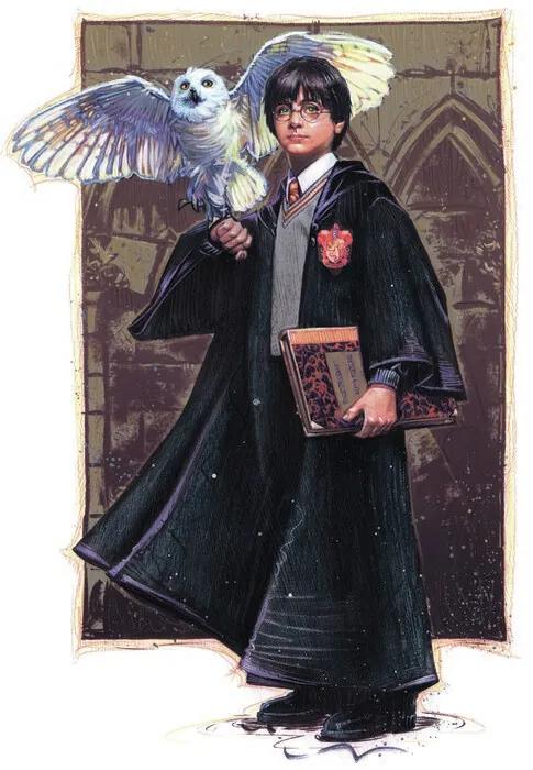 Poster de artă Harry Potter with Hedvig - Art, (26.7 x 40 cm)