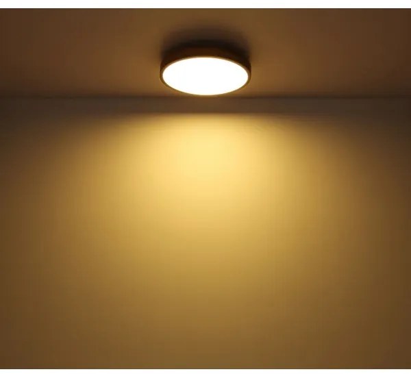 Plafonieră LED DORO LED/12W/230V d. 30 cm Globo 416080WD1R