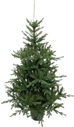 Brad artificial în ghiveci 3D Molid Tirolez 120cm