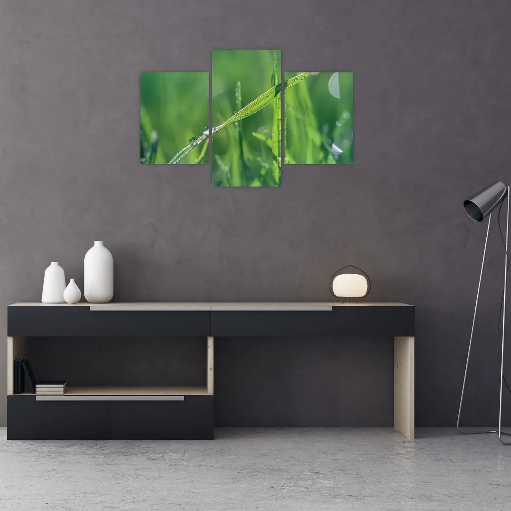 Tablou cu picături de rouă (90x60 cm)