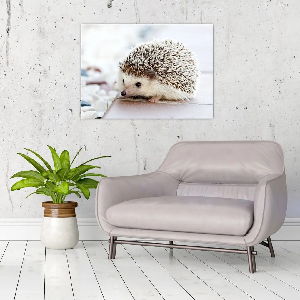 Tablou pe sticlă cu arici (70x50 cm)