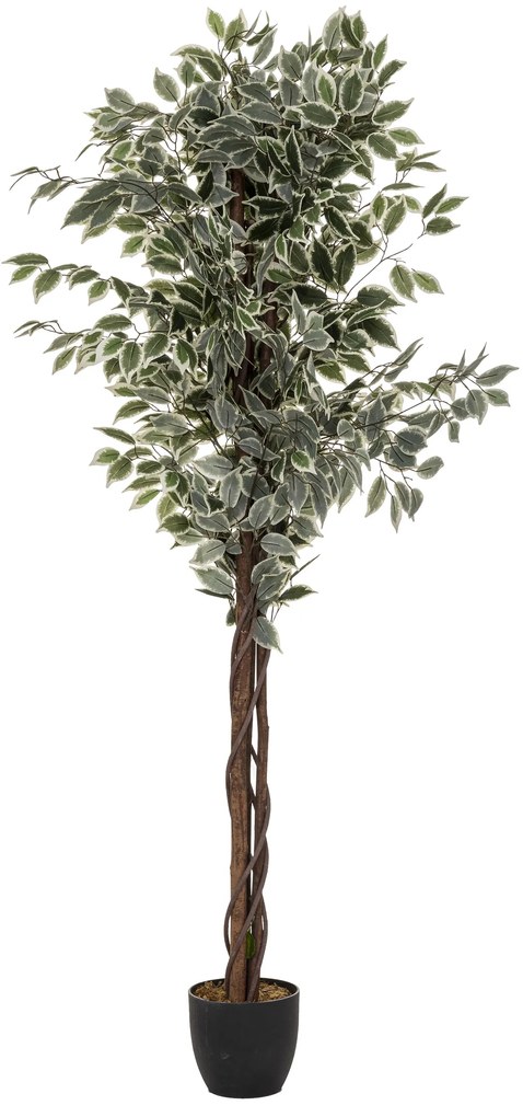 Smochin artificial înalt cu ghiveci, înălțime 180 cm