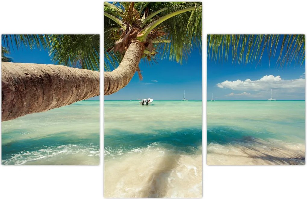 Tablou - Mare curată cu palmier (90x60 cm)