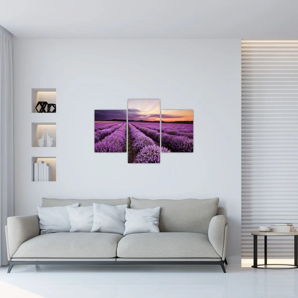Tablou - Câmp de lavandă la apus de soare (90x60 cm)