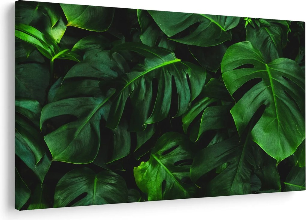 Tablou cu frunze Monstery (90x60 cm)