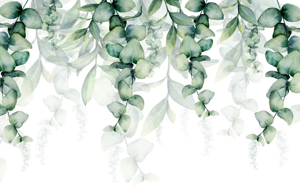 Fototapet - Plante cățărătoare (147x102 cm)