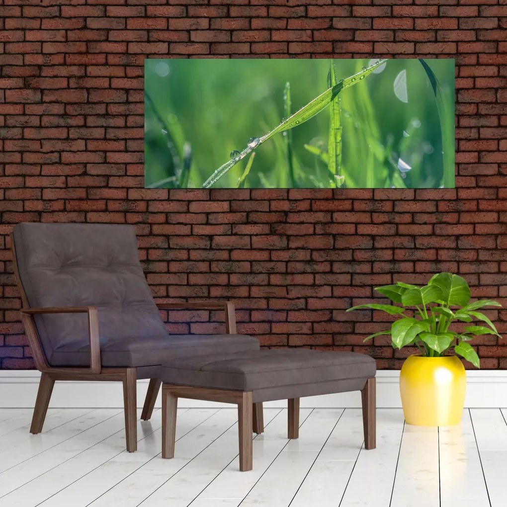 Tablou cu picături de rouă (120x50 cm)