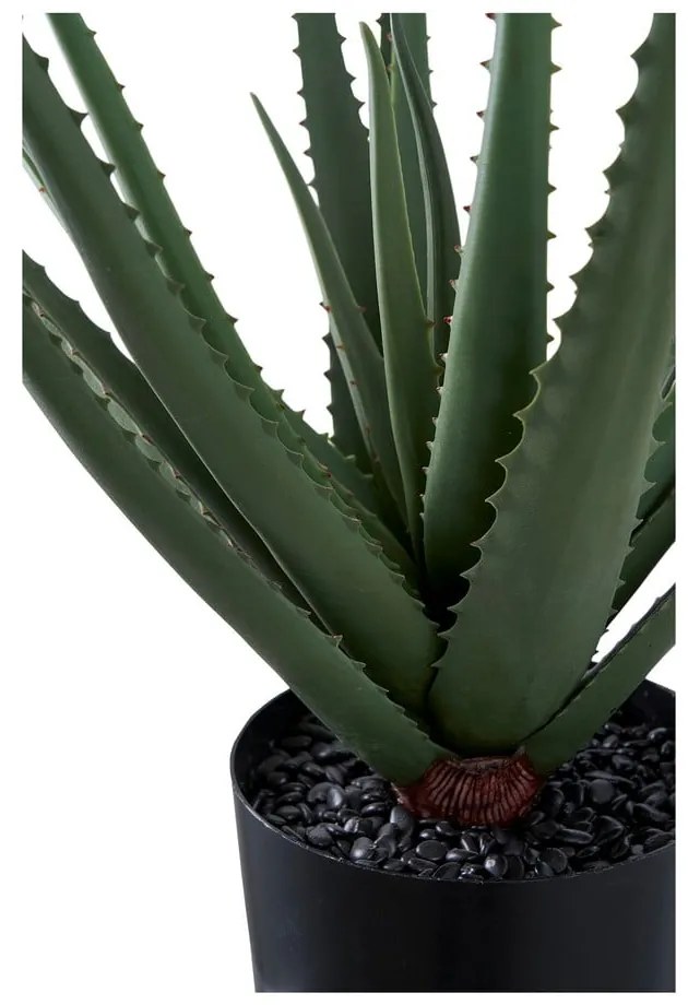 Plantă artificială (înălțime 51 cm) Aloe Vera – House Nordic