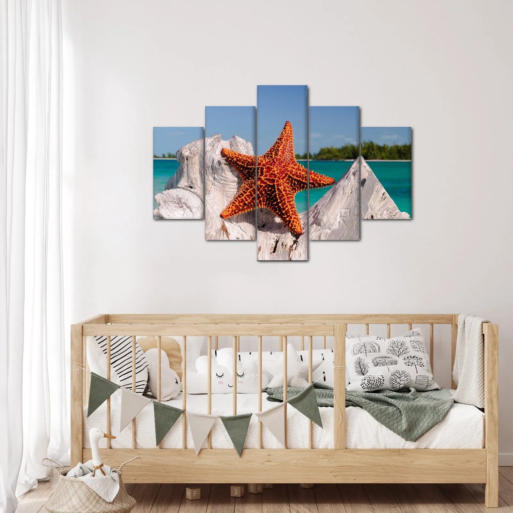 Tablou cu stea de mare (150x105 cm)