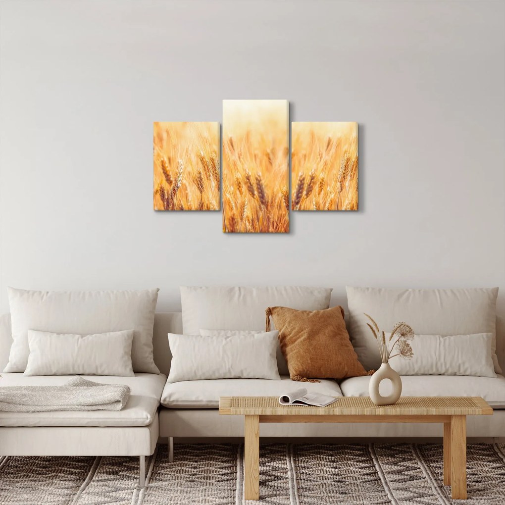 Tablou - câmp cu grâne (90x60 cm)