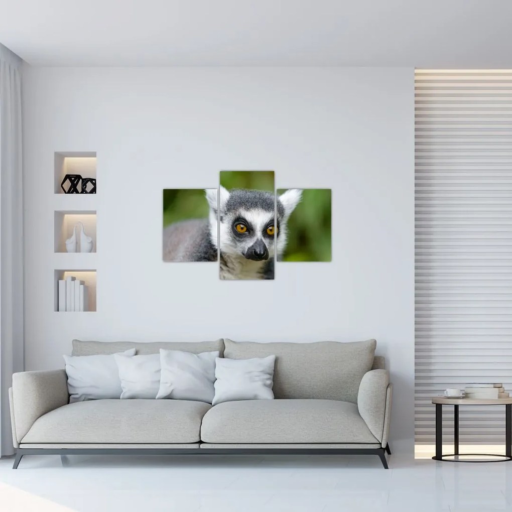 Tablou cu lemur (90x60 cm)