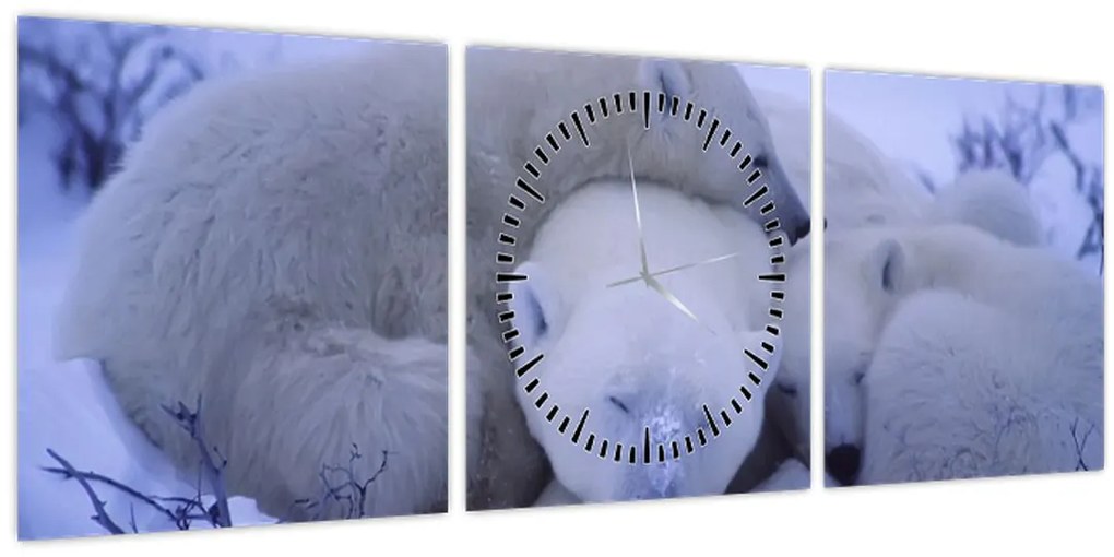 Tablou - Urși polari (cu ceas) (90x30 cm)