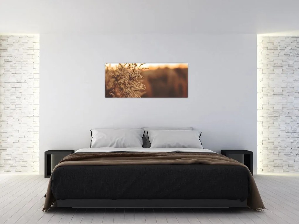 Tablou - Iarba înflorită (120x50 cm)