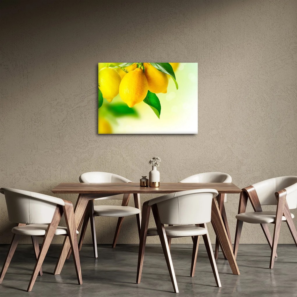 Tablou cu lămâi (70x50 cm)