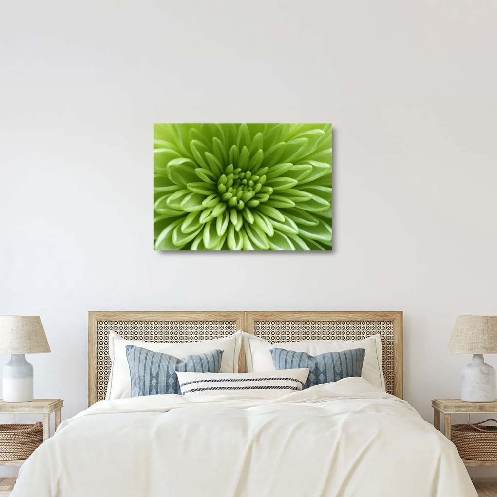 Tablou pe sticlă - Imagine macro a unei plante (70x50 cm)