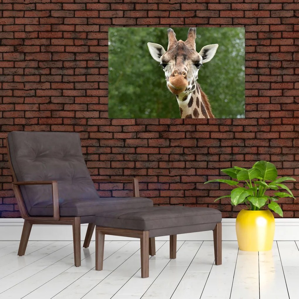 Tablou cu girafa (90x60 cm)