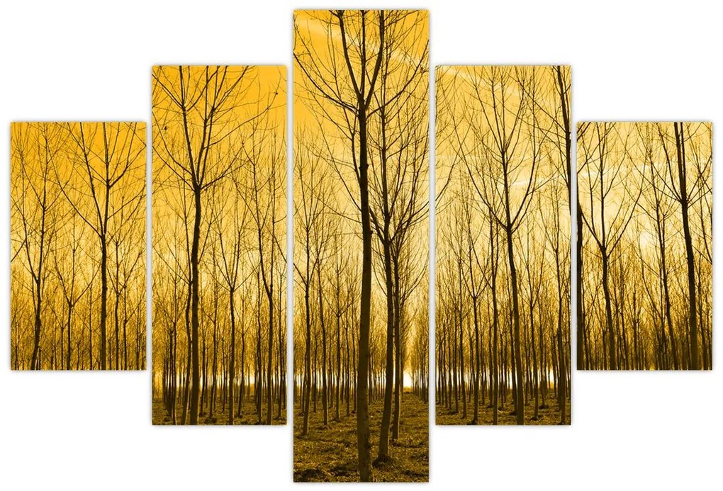 Tablou cu pădure în apus de soare (150x105 cm)