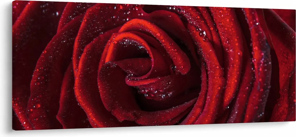 Tablou - Trandafir roșu cu picături de rouă (120x50 cm)