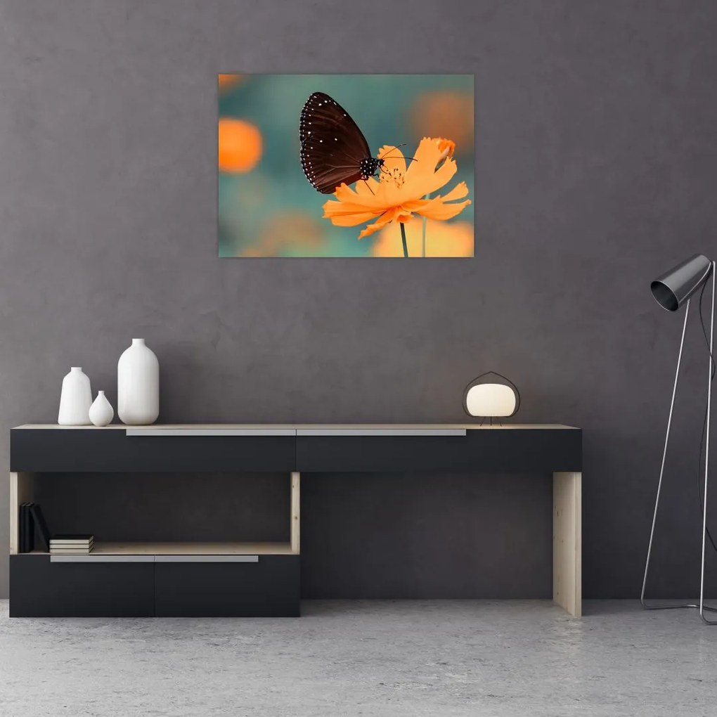 Tablou - fluture pe o floare portocalie (70x50 cm)