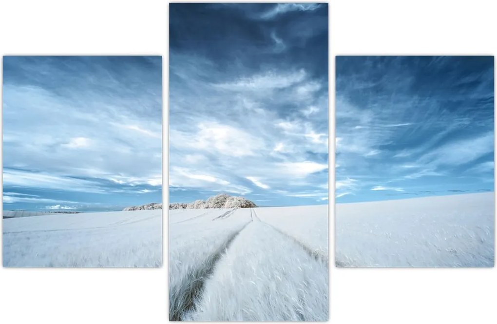 Tablou - Câmp (90x60 cm)