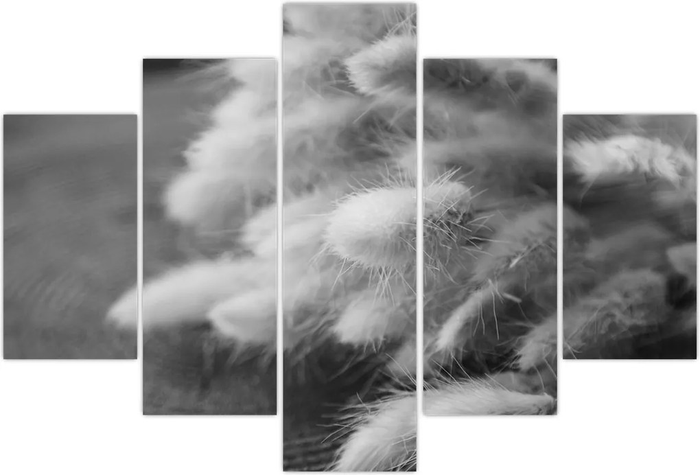 Tablou - iarbă de coadă de iepure pe masă (150x105 cm)