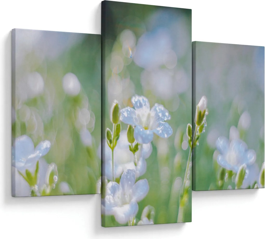 Tablou - Flori delicate (90x60 cm)