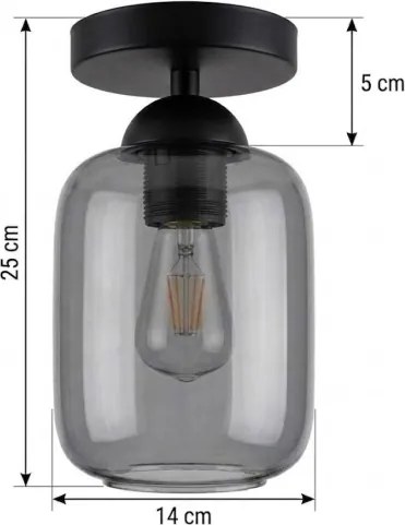 BRILAGI - Plafonieră LED R GLASS 1xE27/60W/230V diam. 14 cm negru/gri fumuriu