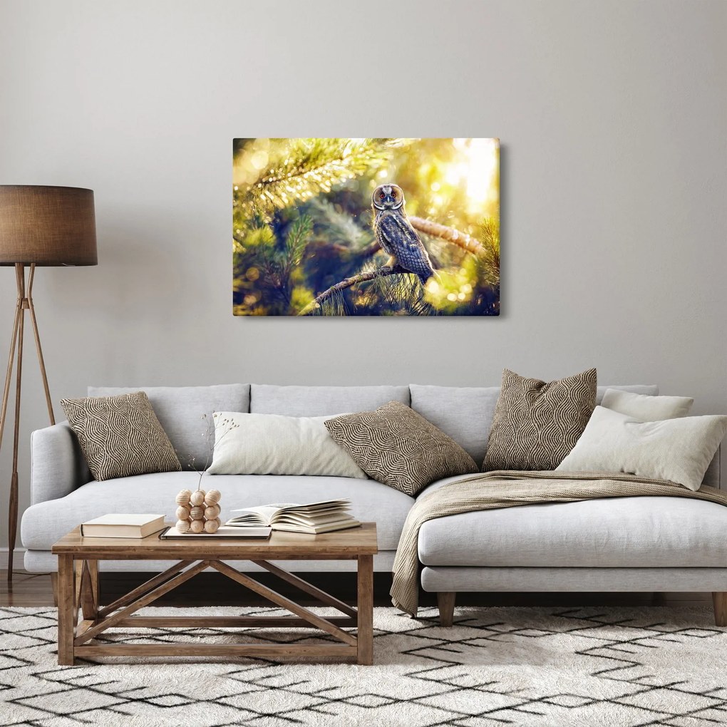 Tablou - Bufniță în copac (90x60 cm)