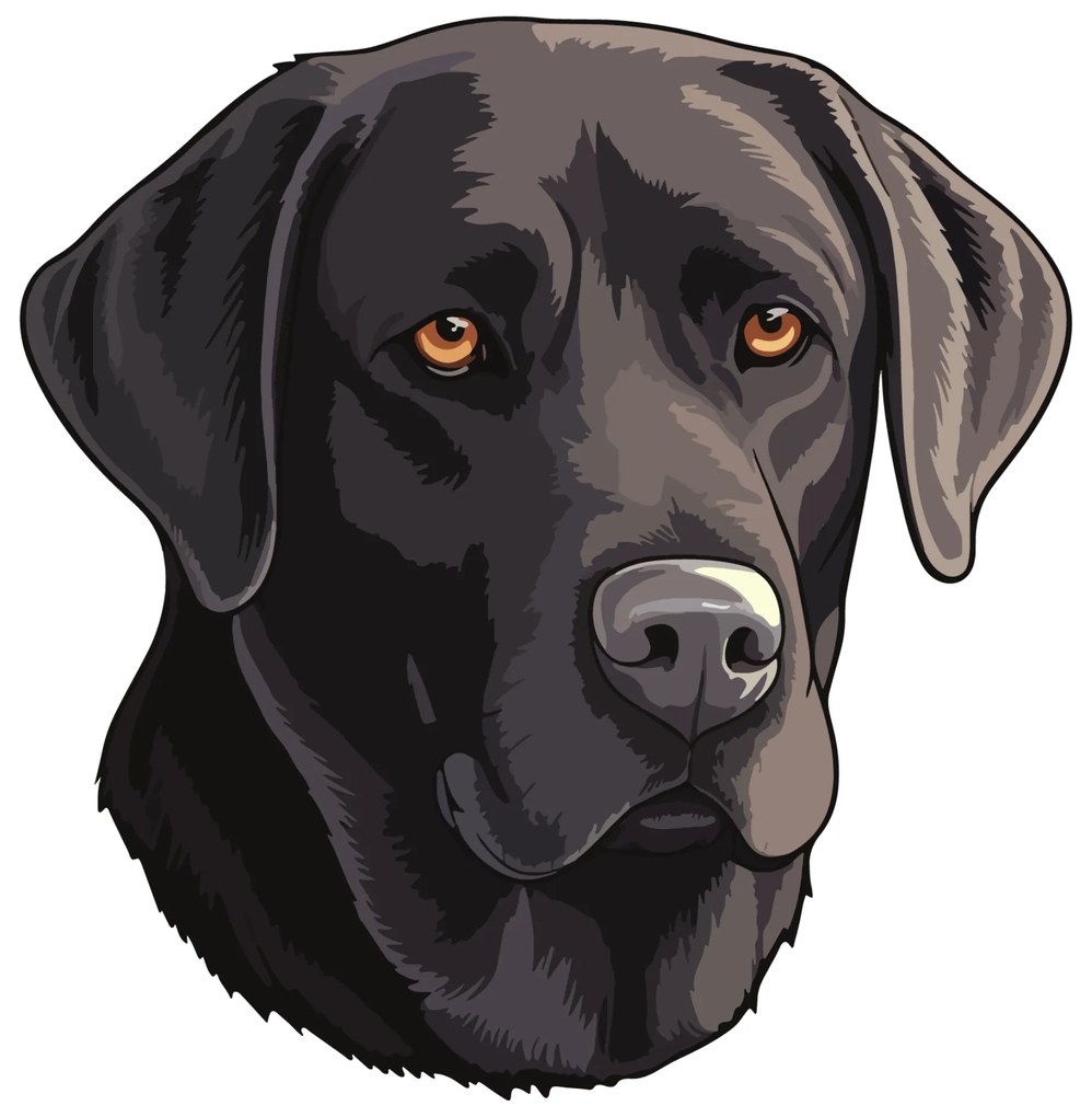 PIPPER. Autocolant Labradorul negru mărimea: 15cm