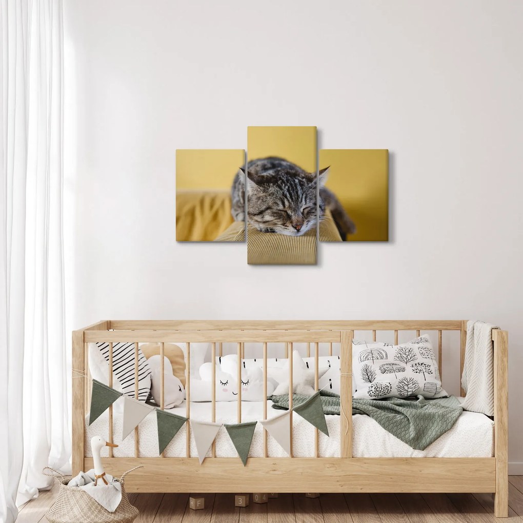 Tablou cu pisica pe fotoliu (90x60 cm)
