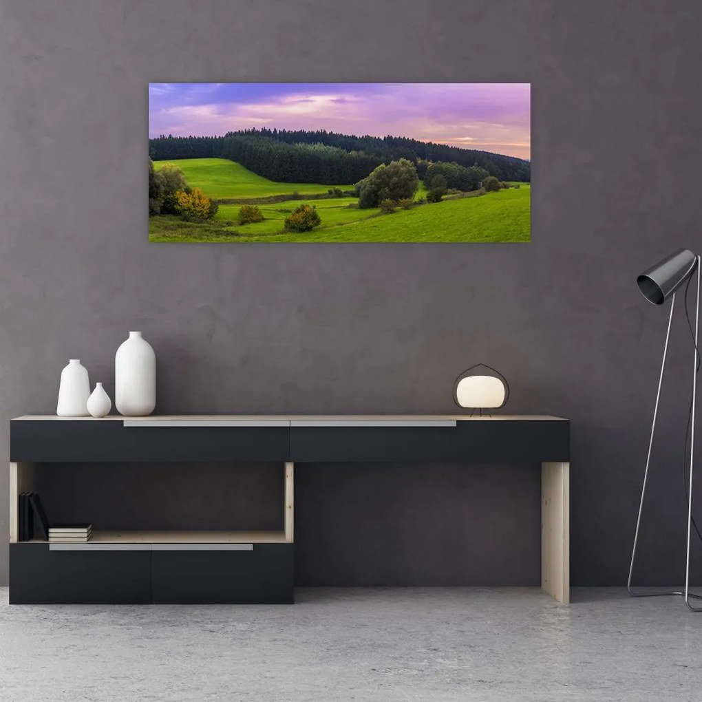 Tablou cu lunca (120x50 cm), în 40 de alte dimensiuni noi