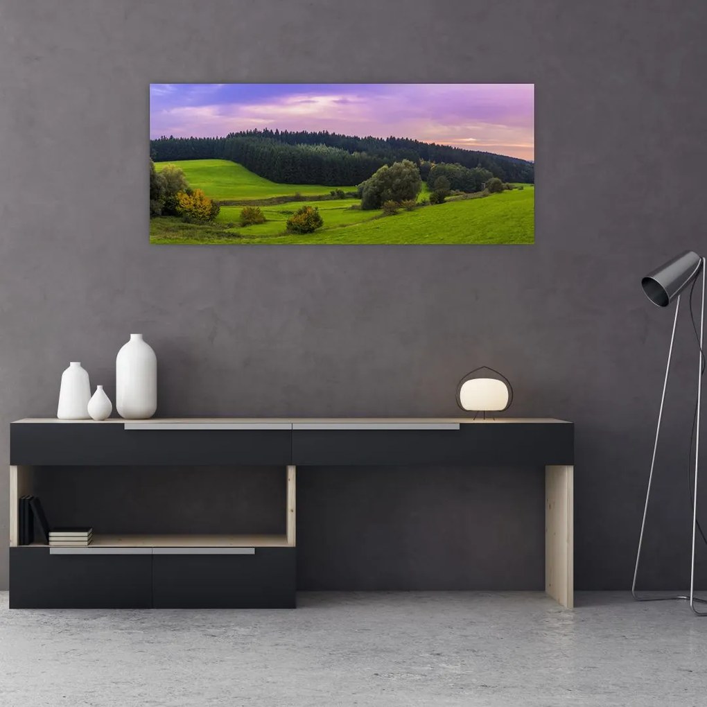 Tablou cu lunca (120x50 cm)