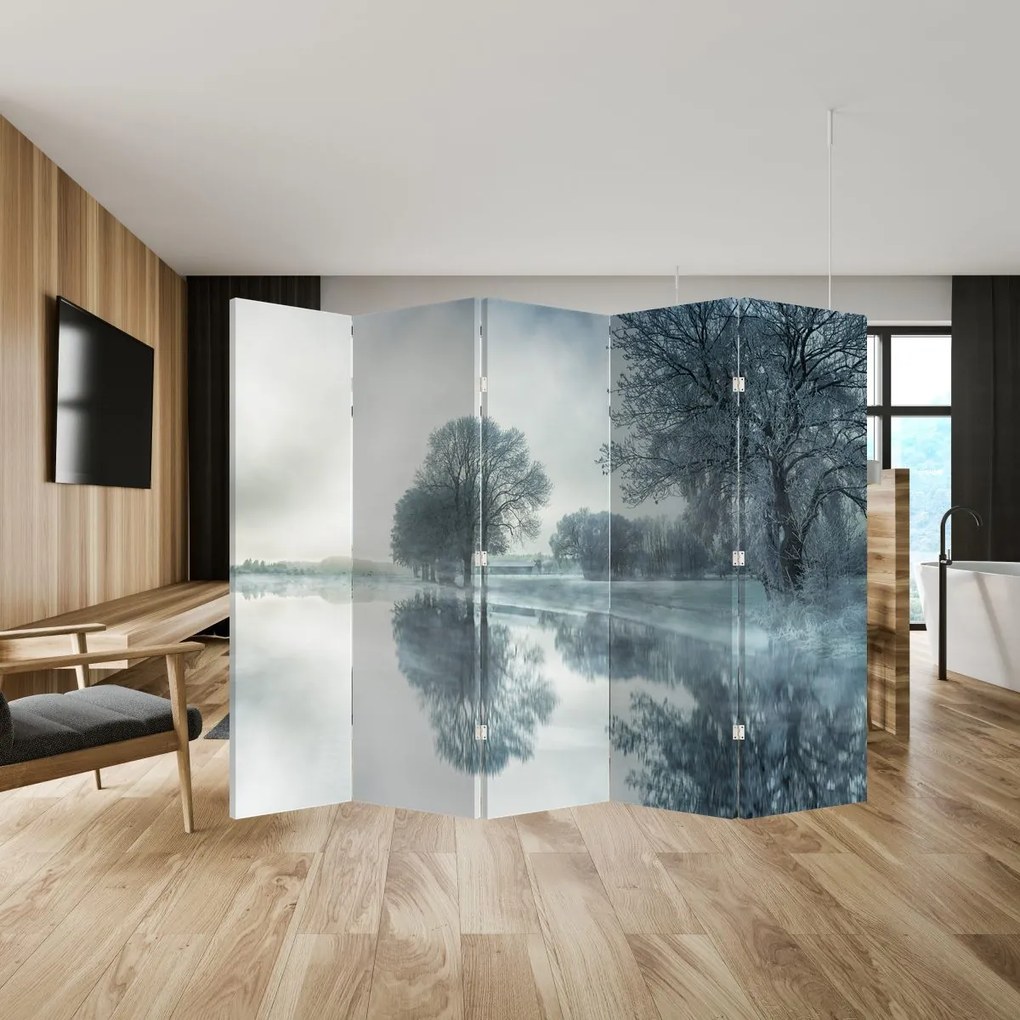 Paravan - Natura iarna (210x170 cm)