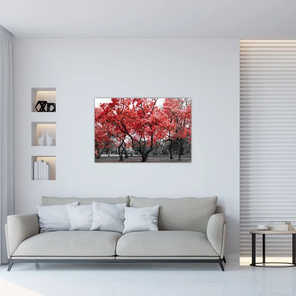 Tablou - Copacii roșii, Central Park, New York (90x60 cm)