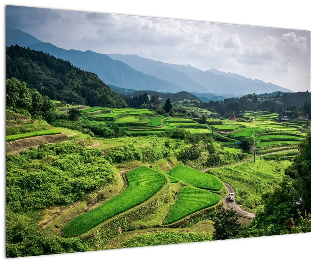 Tablou cu câmp de orez (90x60 cm)