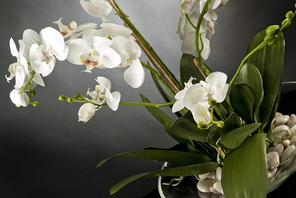 Aranjament floral elegant PLATE PHALENO 1141370.95