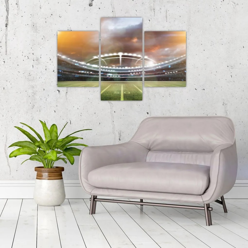 Tablou - Stadion (90x60 cm)