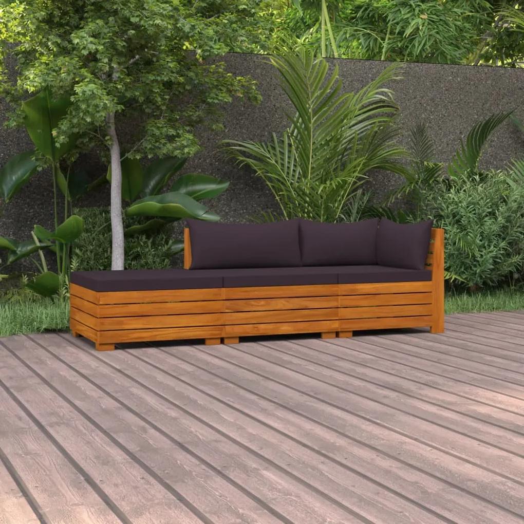 3087330 vidaXL Set mobilier de grădină cu perne, 3 piese, lemn masiv acacia