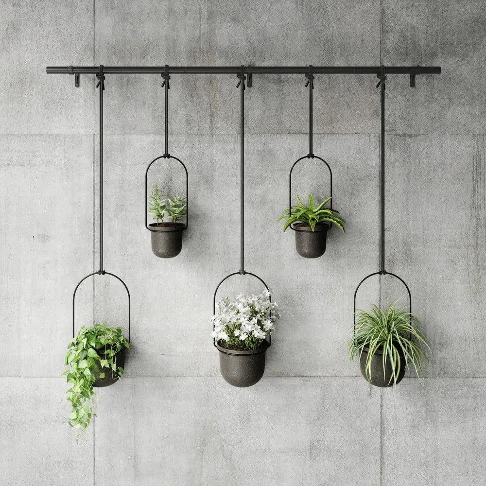 Ghivece decorative 5 buc. din plastic pentru ierburi aromatice/de agățat / de perete ø 7,5 cm Triflora – Umbra