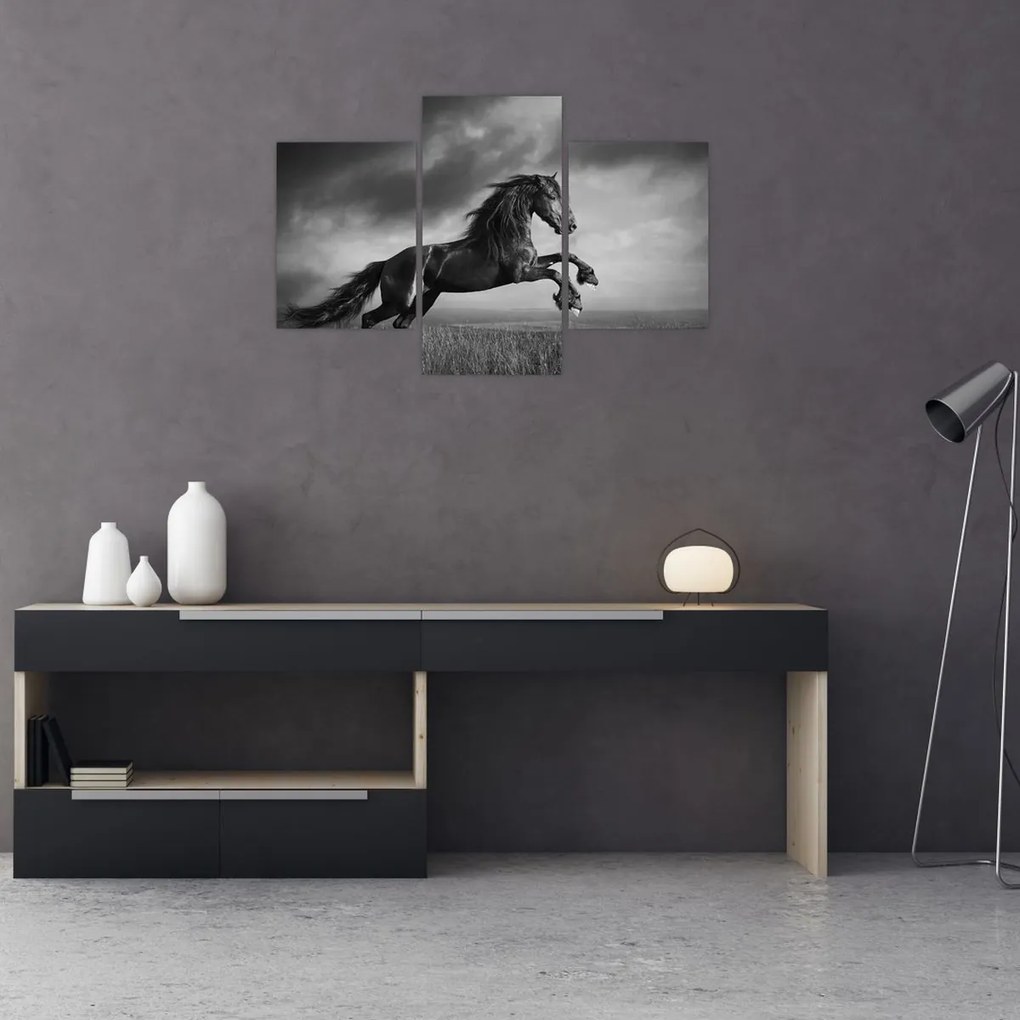Tablou - Cal alb și negru (90x60 cm)