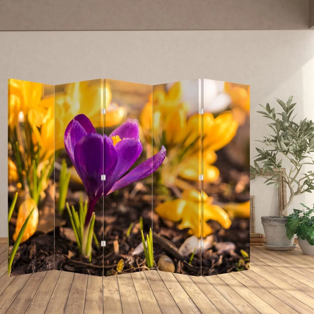 Paravan - Floare violetă (210x170 cm)
