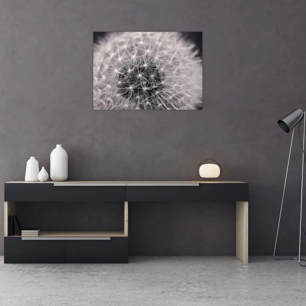 Tablou pe sticlă cu păpădie (70x50 cm)
