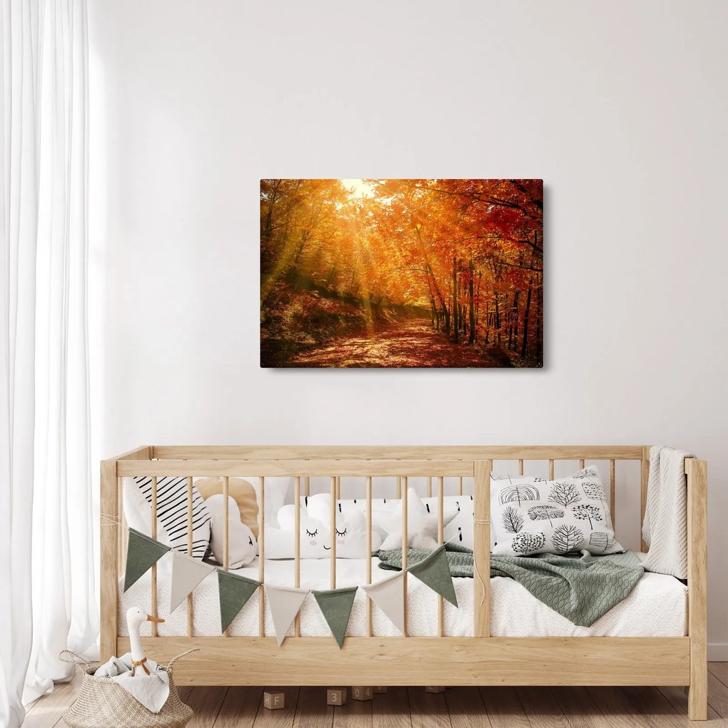 Tablou cu pădurea în toamnă (90x60 cm)